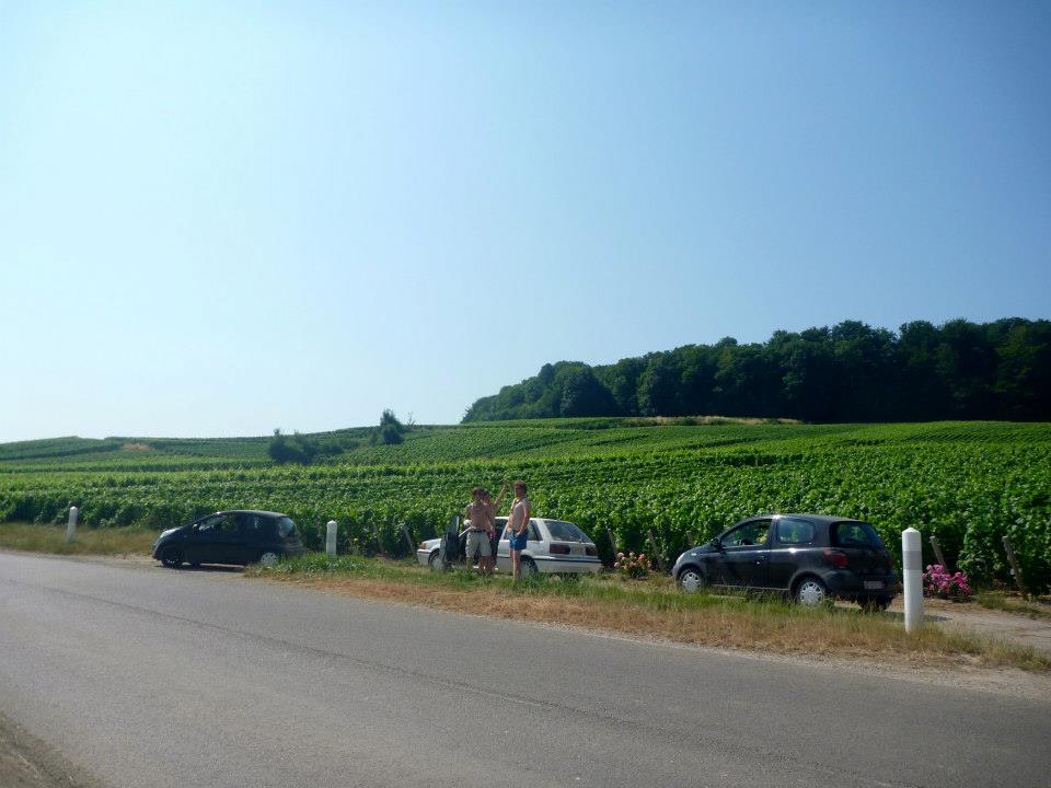 Sint-Martinus den XIIde - Kamp Curfoz JIN 2013